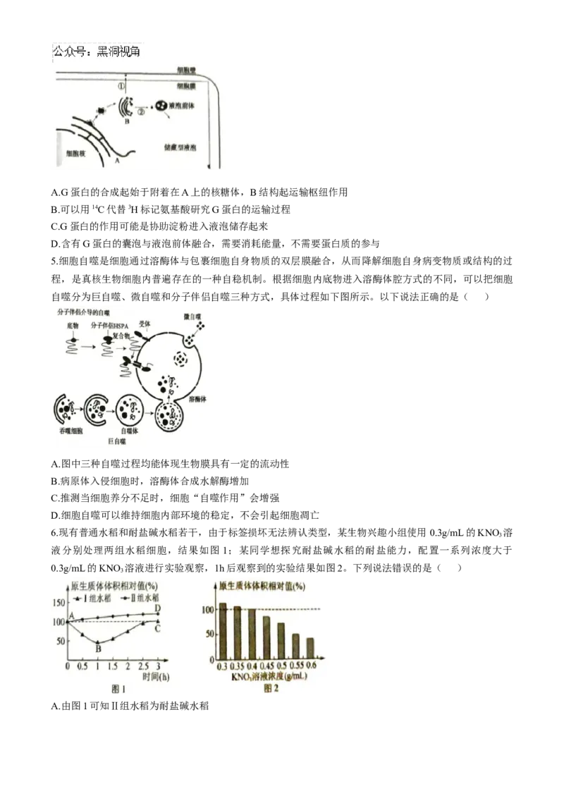 河南省三门峡市2024-2025学年高三上学期11月期中考试生物Word版含解析_2024-2025高三（6-6月题库）_2024年11月试卷_1119河南省三门峡市2024-2025学年高三上学期11月期中考试（全科）