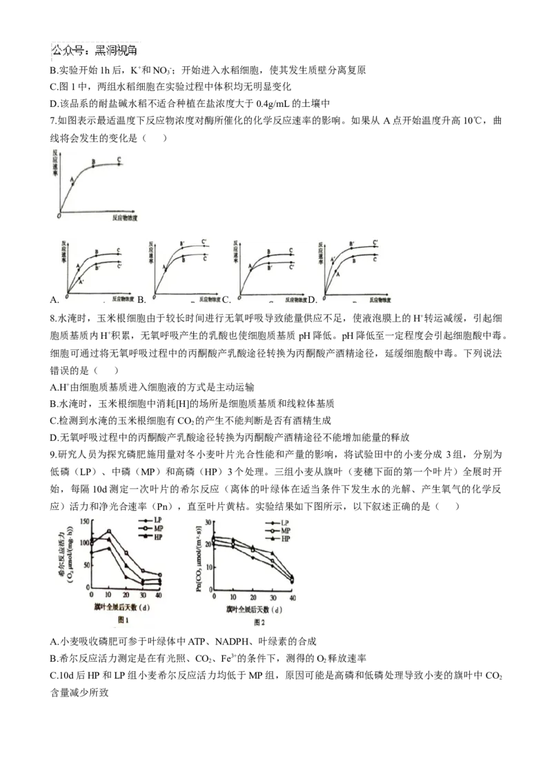 河南省三门峡市2024-2025学年高三上学期11月期中考试生物Word版含解析_2024-2025高三（6-6月题库）_2024年11月试卷_1119河南省三门峡市2024-2025学年高三上学期11月期中考试（全科）
