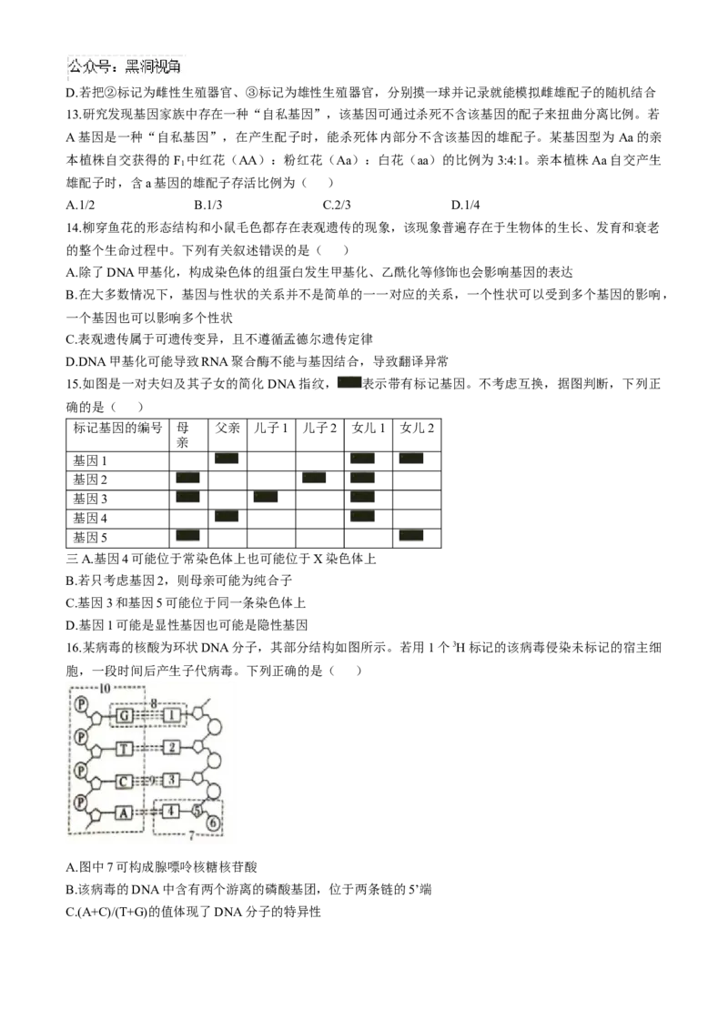 河南省三门峡市2024-2025学年高三上学期11月期中考试生物Word版含解析_2024-2025高三（6-6月题库）_2024年11月试卷_1119河南省三门峡市2024-2025学年高三上学期11月期中考试（全科）