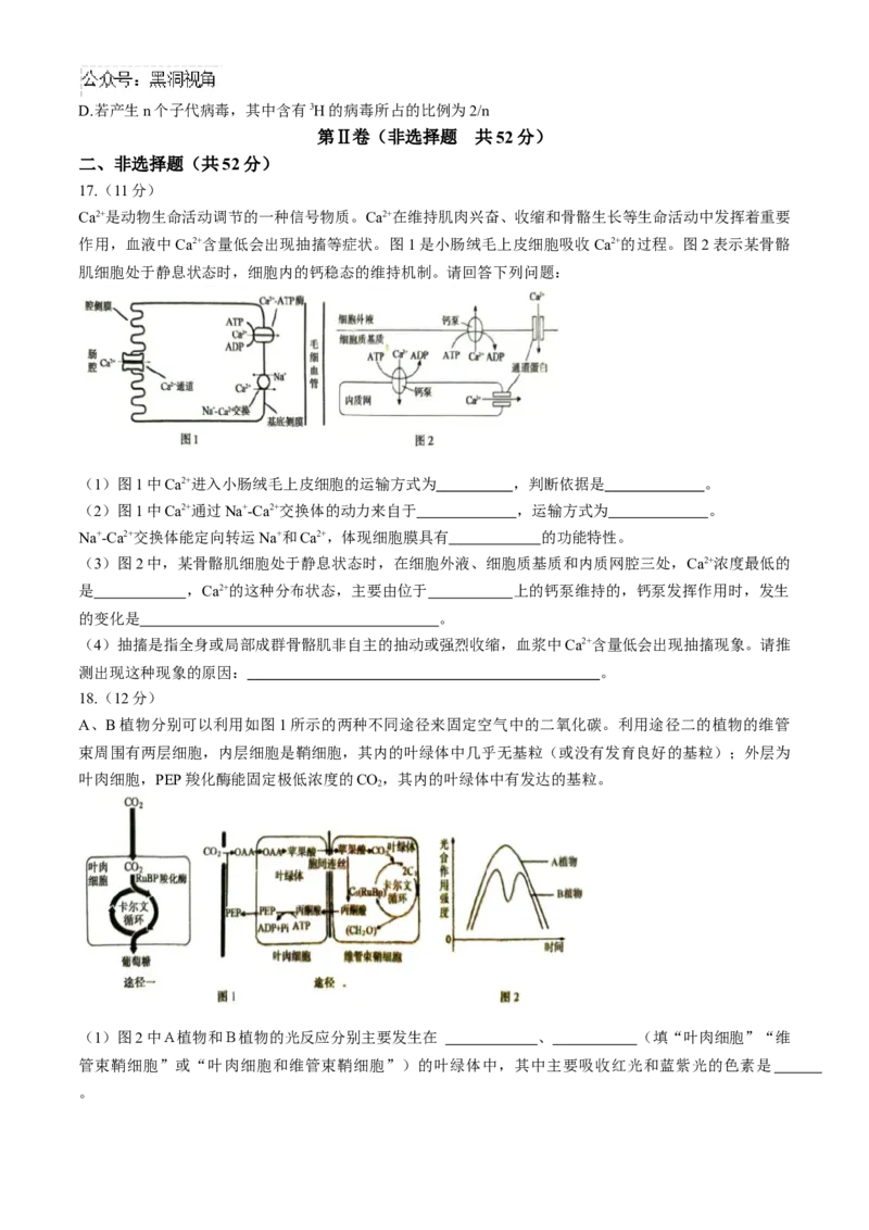 河南省三门峡市2024-2025学年高三上学期11月期中考试生物Word版含解析_2024-2025高三（6-6月题库）_2024年11月试卷_1119河南省三门峡市2024-2025学年高三上学期11月期中考试（全科）