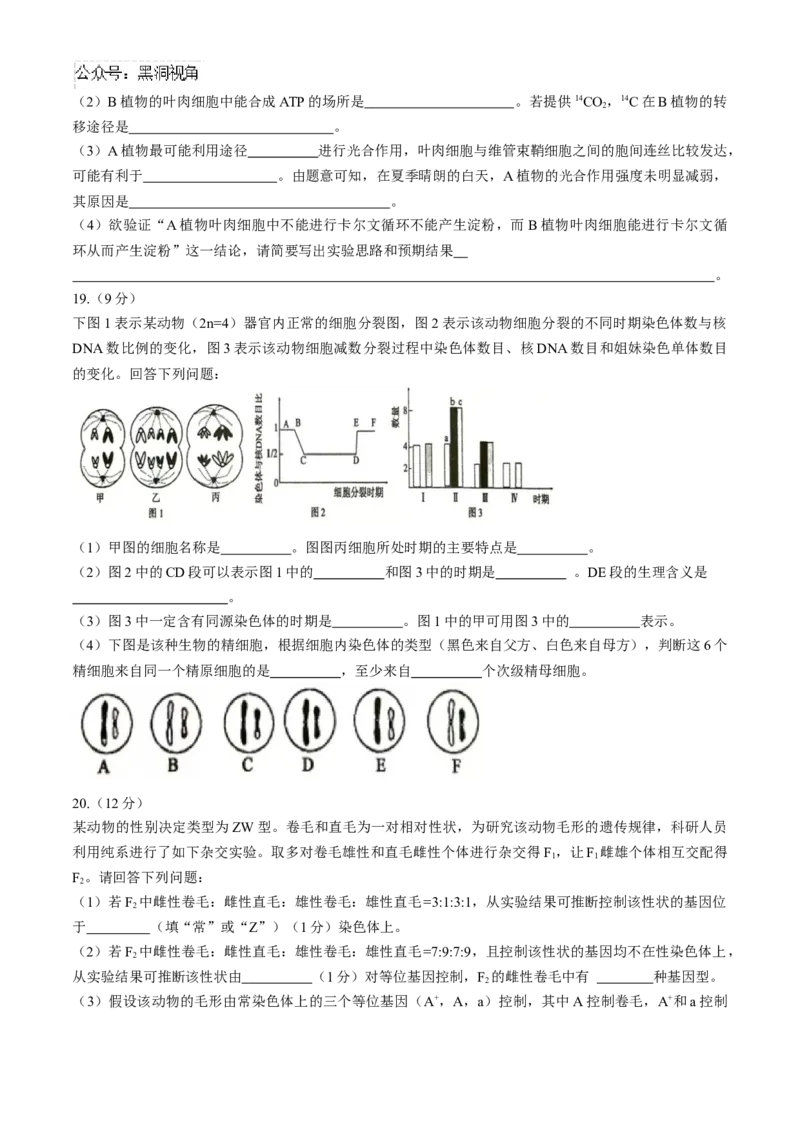 河南省三门峡市2024-2025学年高三上学期11月期中考试生物Word版含解析_2024-2025高三（6-6月题库）_2024年11月试卷_1119河南省三门峡市2024-2025学年高三上学期11月期中考试（全科）