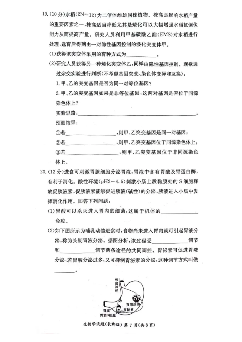湖南省长沙市长郡中学2023-2024学年高二下学期期末考试生物试卷_2024-2025高二（7-7月题库）_2024年07月试卷_0706湖南省长郡中学2024年高二下学期期末考试