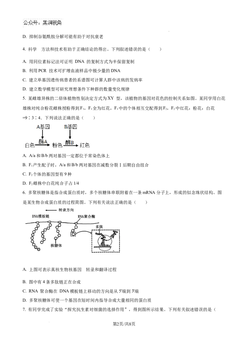 云南师范大学附属中学2025届高三高考适应性月考卷（四）生物_2024-2025高三（6-6月题库）_2024年10月试卷_1025云南师范大学附属中学2025届高三高考适应性月考卷（四）