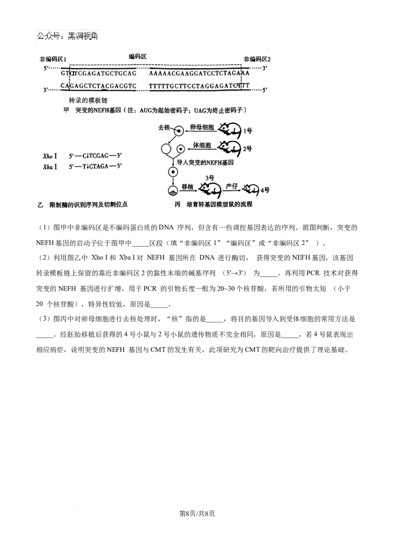 云南师范大学附属中学2025届高三高考适应性月考卷（四）生物_2024-2025高三（6-6月题库）_2024年10月试卷_1025云南师范大学附属中学2025届高三高考适应性月考卷（四）