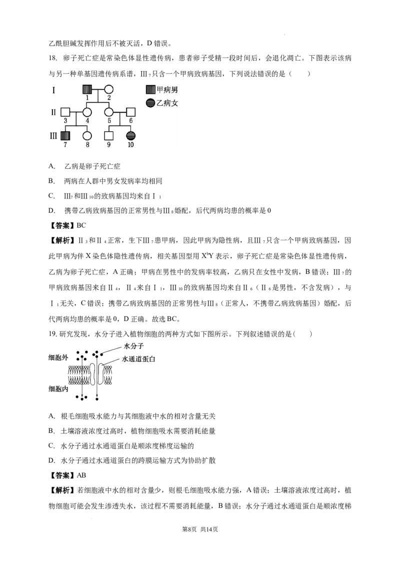 2025-2025学年度高二上学期第一次月考生物试卷解析_2025年10月高二试卷_251023吉林省白城市第一中学2025-2026学年高二上学期第一次月考