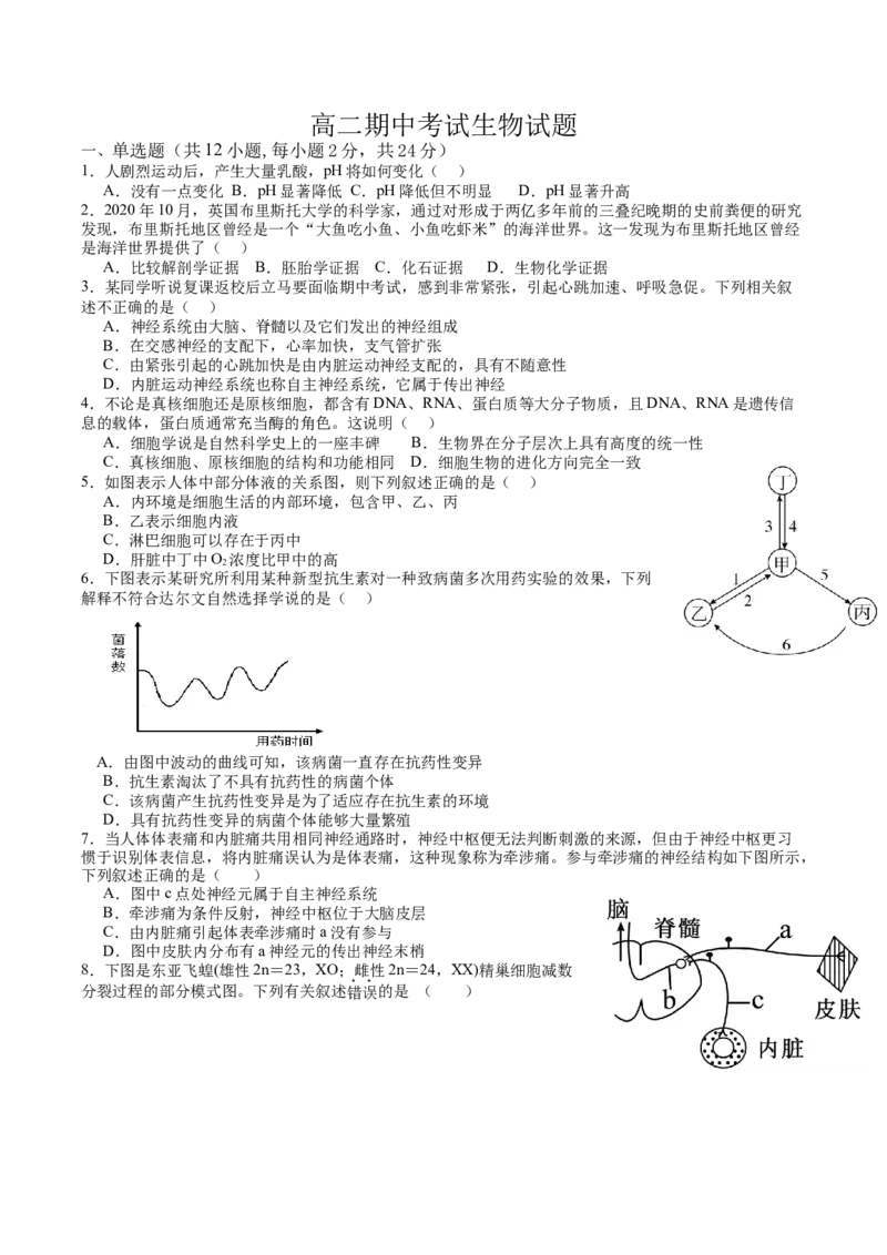 江西省上饶市2025-2026学年高二上学期期中考试生物Word版含答案_2024-2025高二（7-7月题库）_2026年1月高二_260111江西省上饶市2025-2026学年高二上学期期中考试（全）