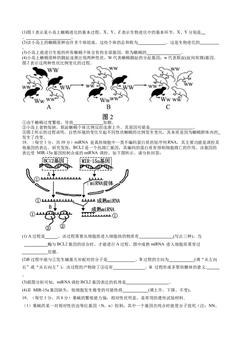 江西省上饶市2025-2026学年高二上学期期中考试生物Word版含答案_2024-2025高二（7-7月题库）_2026年1月高二_260111江西省上饶市2025-2026学年高二上学期期中考试（全）