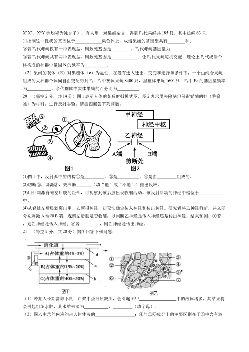 江西省上饶市2025-2026学年高二上学期期中考试生物Word版含答案_2024-2025高二（7-7月题库）_2026年1月高二_260111江西省上饶市2025-2026学年高二上学期期中考试（全）