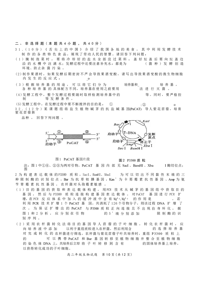 河南省南阳市六校2024-2025学年高二下学期第二次联考生物试卷(含详解)_2024-2025高二（7-7月题库）_2025年6月试卷_0611河南省南阳市六校2024-2025学年高二下学期第二次联考试题