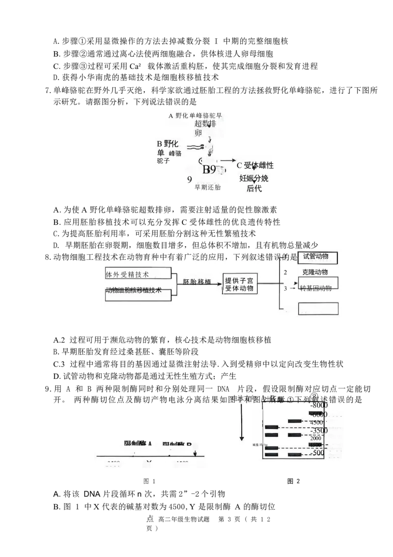河南省南阳市六校2024-2025学年高二下学期第二次联考生物试卷(含详解)_2024-2025高二（7-7月题库）_2025年6月试卷_0611河南省南阳市六校2024-2025学年高二下学期第二次联考试题