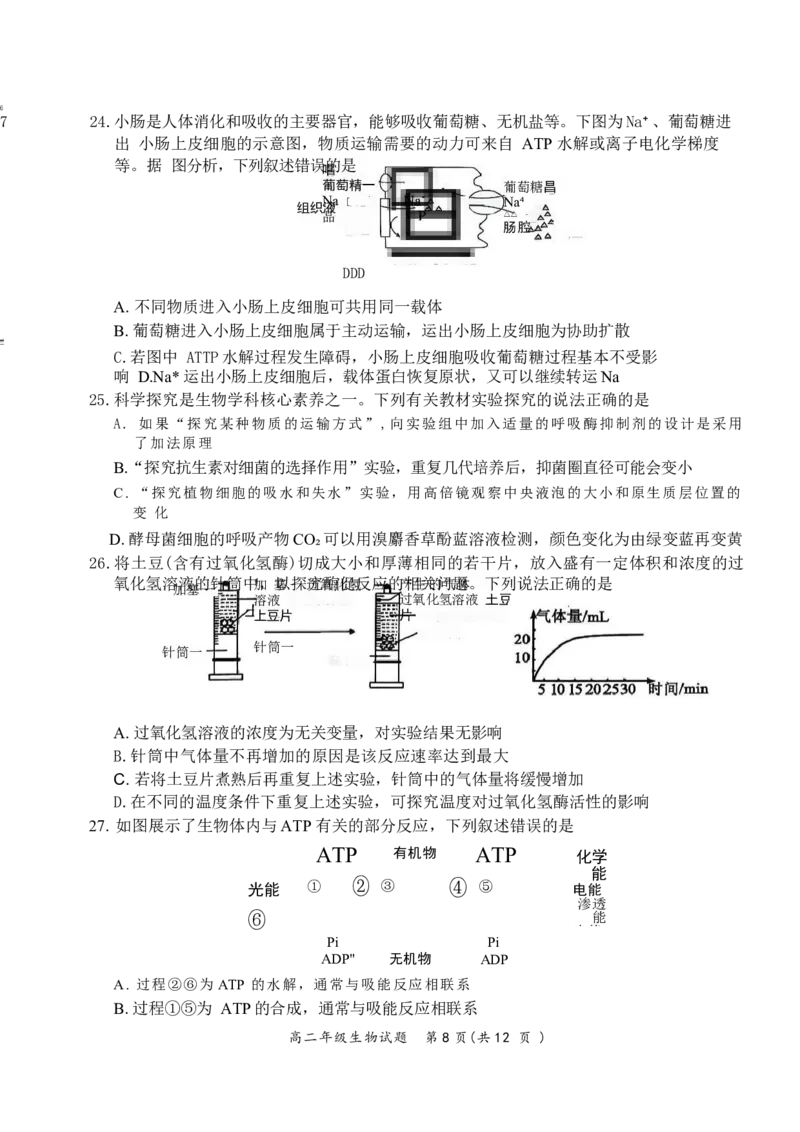 河南省南阳市六校2024-2025学年高二下学期第二次联考生物试卷(含详解)_2024-2025高二（7-7月题库）_2025年6月试卷_0611河南省南阳市六校2024-2025学年高二下学期第二次联考试题