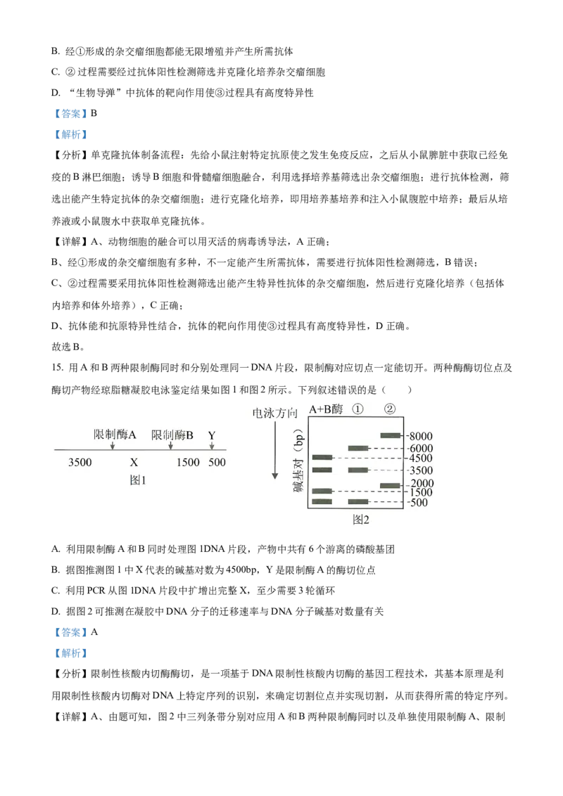 安徽省黄山市2023-2024学年高二下学期7月期末考试生物Word版含解析_2024-2025高三（6-6月题库）_2024年07月试卷_240715安徽省黄山市2023-2024学年高二下学期7月期末考试