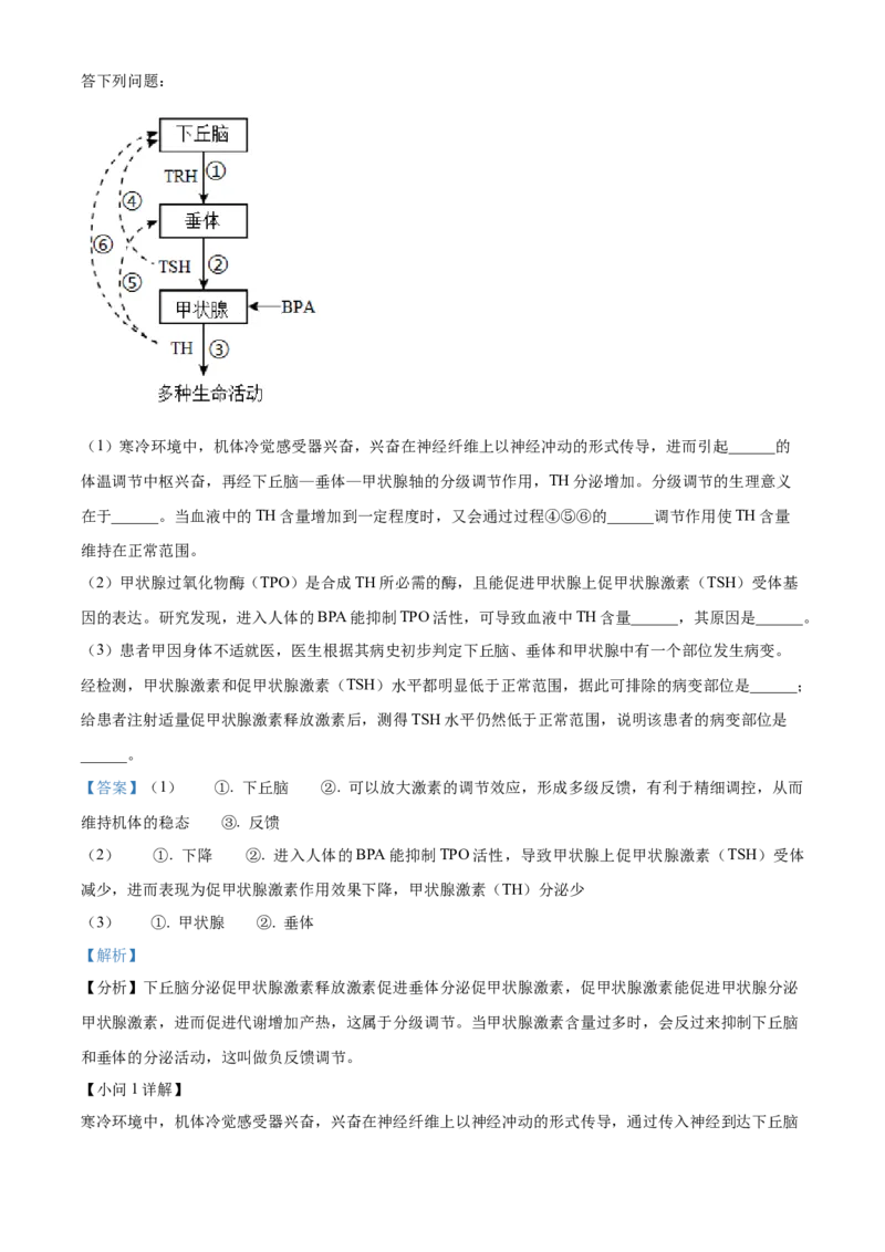 安徽省黄山市2023-2024学年高二下学期7月期末考试生物Word版含解析_2024-2025高三（6-6月题库）_2024年07月试卷_240715安徽省黄山市2023-2024学年高二下学期7月期末考试