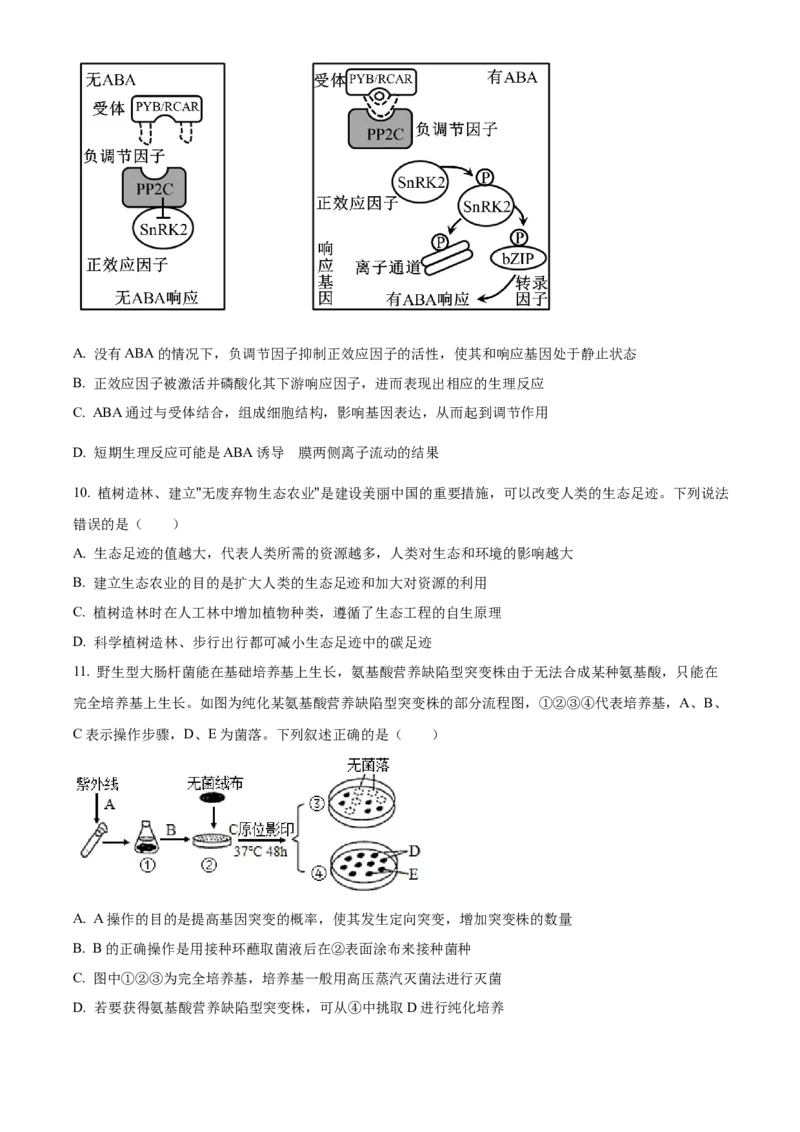 精品解析：2024届湖南省长沙市四区高三下学期3月调研考试生物试题（原卷版）_2024年3月_013月合集_2024届湖南省长沙市四区市高三下学期3月调研考试（一模）