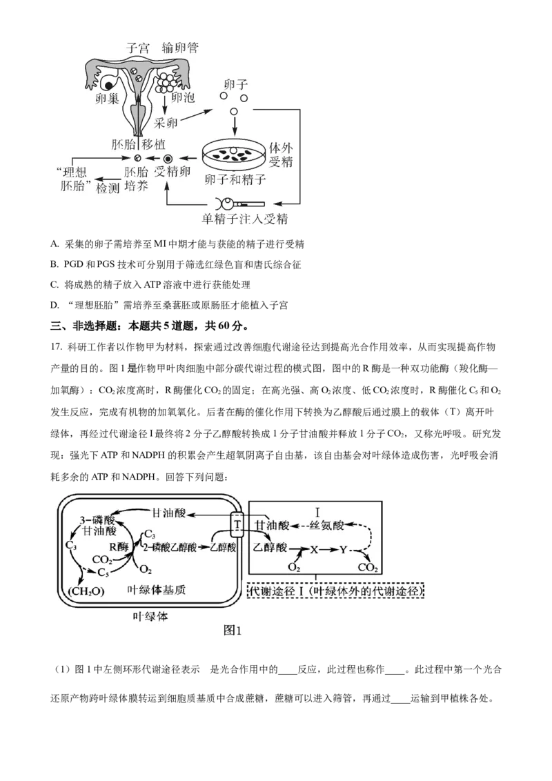 精品解析：2024届湖南省长沙市四区高三下学期3月调研考试生物试题（原卷版）_2024年3月_013月合集_2024届湖南省长沙市四区市高三下学期3月调研考试（一模）