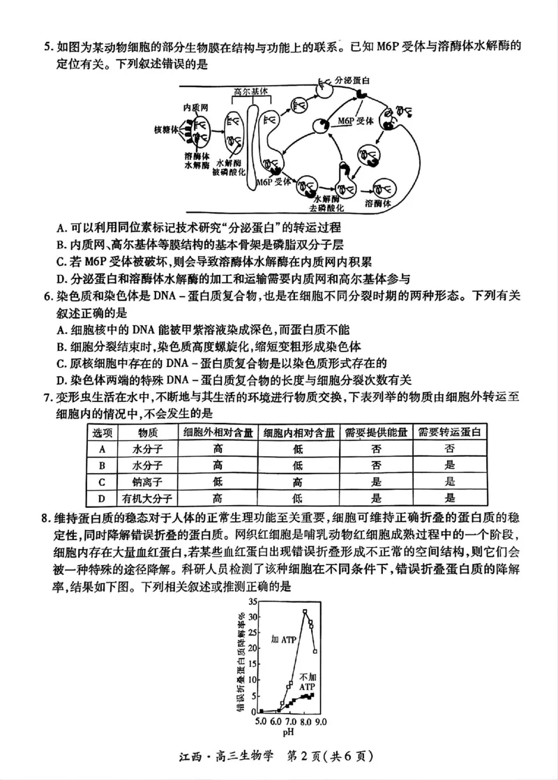 江西省上进联考2024-2025学年高三上学期10月月考生物试题_2024-2025高三（6-6月题库）_2024年10月试卷_1011江西省稳派上进2025届高三上学期10月阶段检测考