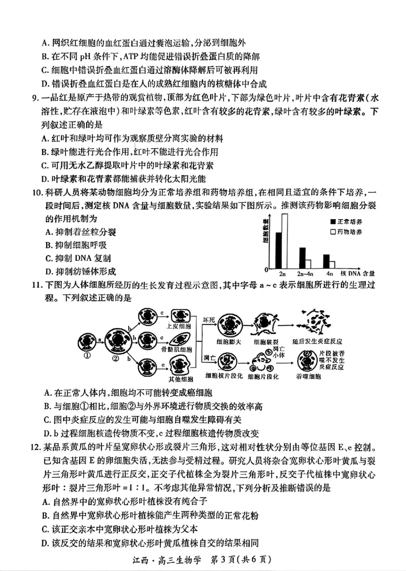江西省上进联考2024-2025学年高三上学期10月月考生物试题_2024-2025高三（6-6月题库）_2024年10月试卷_1011江西省稳派上进2025届高三上学期10月阶段检测考