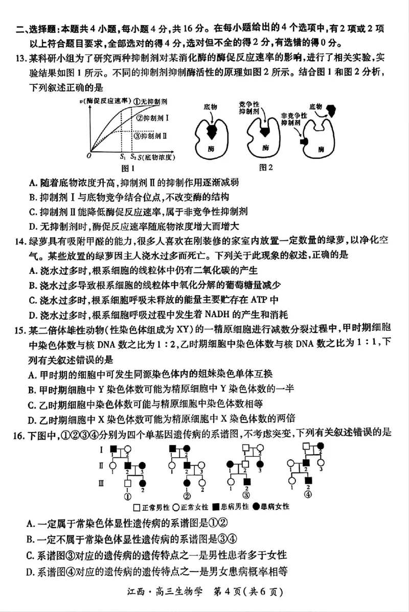 江西省上进联考2024-2025学年高三上学期10月月考生物试题_2024-2025高三（6-6月题库）_2024年10月试卷_1011江西省稳派上进2025届高三上学期10月阶段检测考