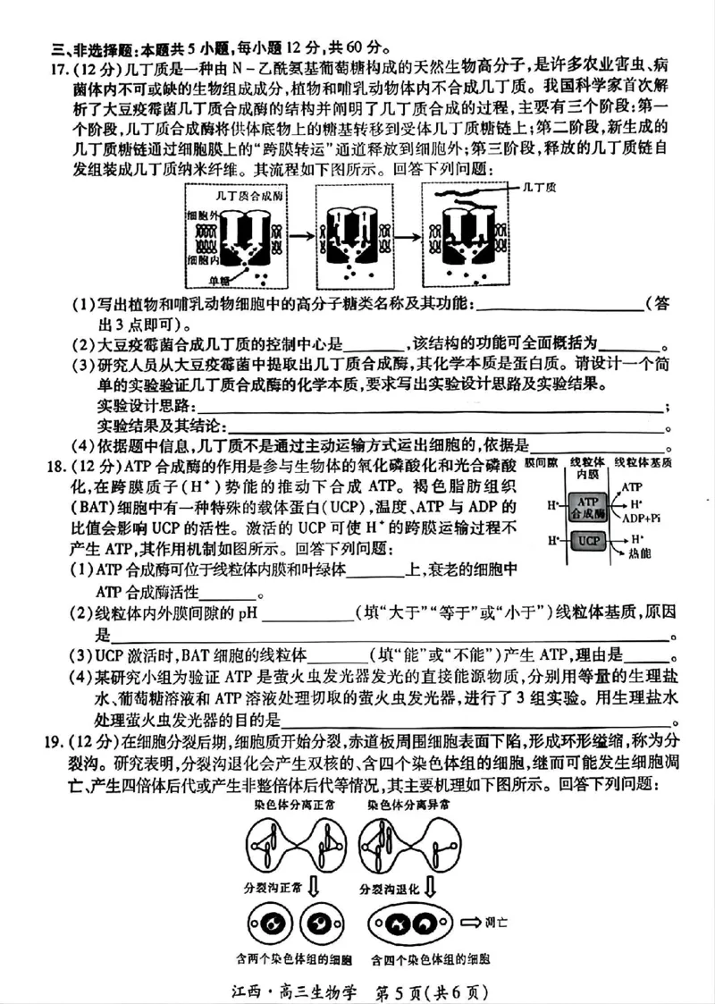 江西省上进联考2024-2025学年高三上学期10月月考生物试题_2024-2025高三（6-6月题库）_2024年10月试卷_1011江西省稳派上进2025届高三上学期10月阶段检测考