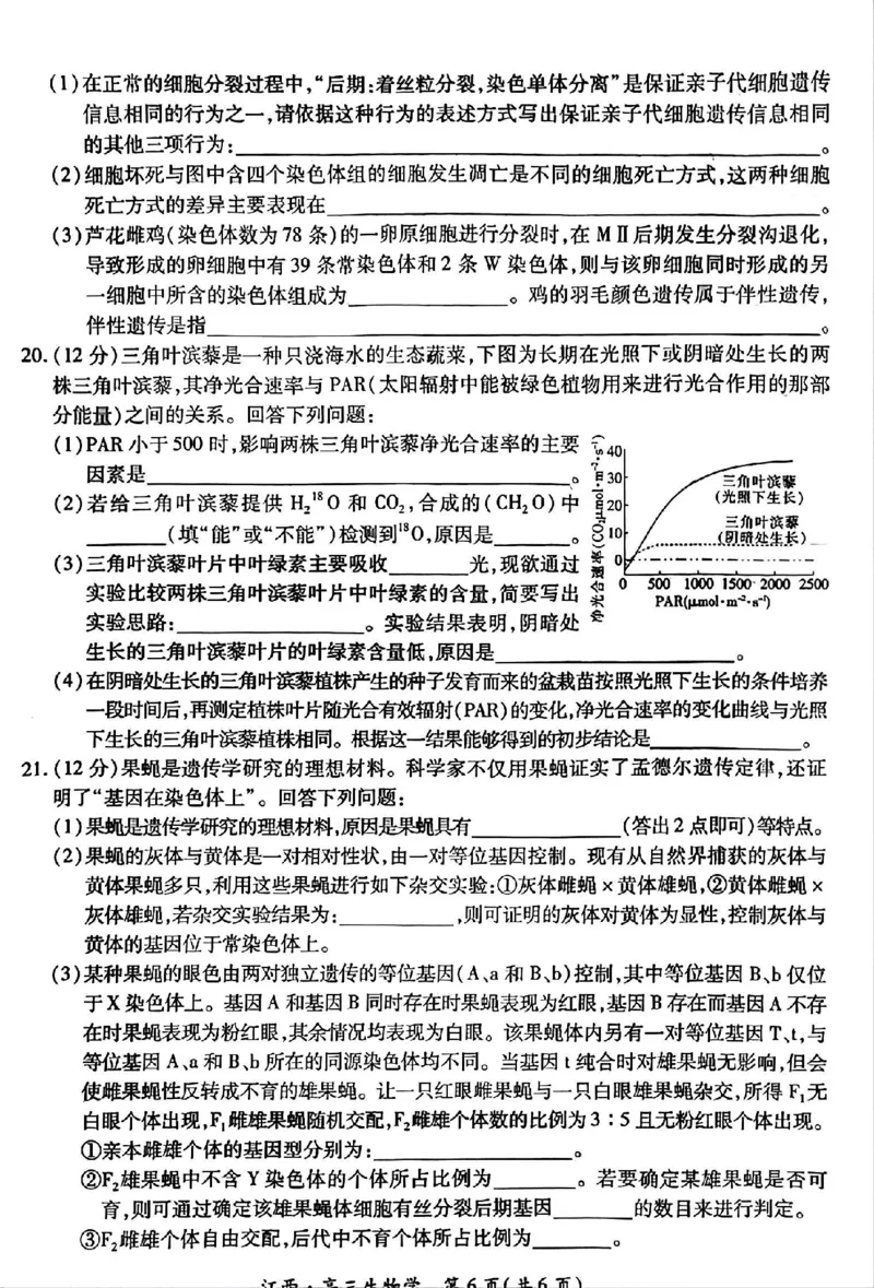 江西省上进联考2024-2025学年高三上学期10月月考生物试题_2024-2025高三（6-6月题库）_2024年10月试卷_1011江西省稳派上进2025届高三上学期10月阶段检测考