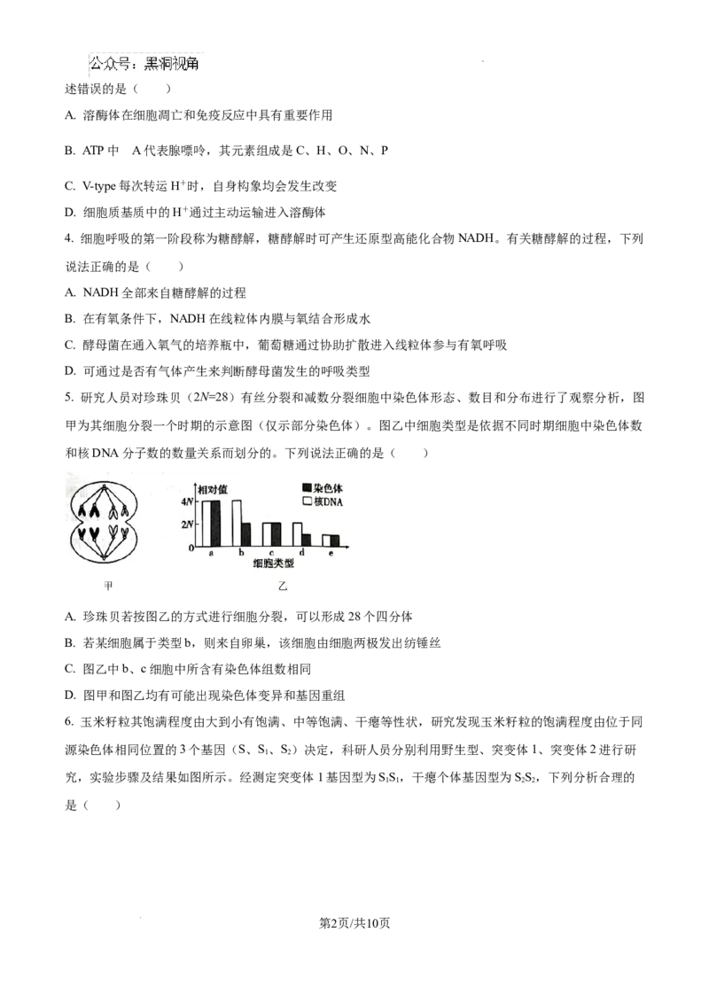 云南省大理白族自治州宾川县高平第一完全中学2024-2025学年高三上学期期中考试生物试题_2024-2025高三（6-6月题库）_2024年10月试卷