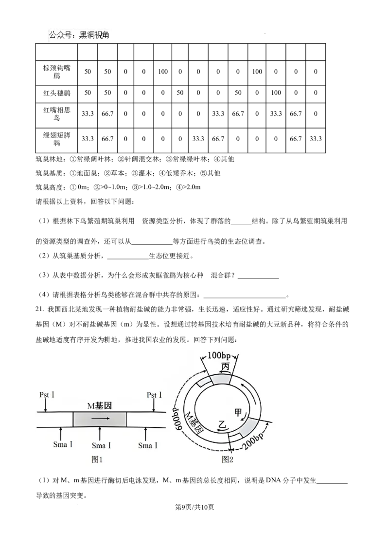 云南省大理白族自治州宾川县高平第一完全中学2024-2025学年高三上学期期中考试生物试题_2024-2025高三（6-6月题库）_2024年10月试卷