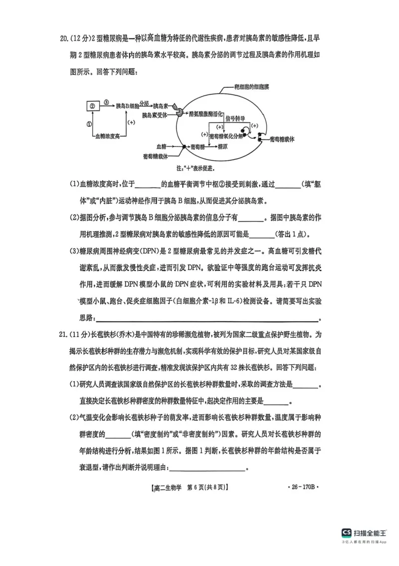 河北邢台市高二联考2025-2026学年高二上学期12月月考生物试题含答案_2024-2025高二（7-7月题库）_2026年1月高二_260111河北省邢台市2025-2026学年高二上学期第三次月考（全）