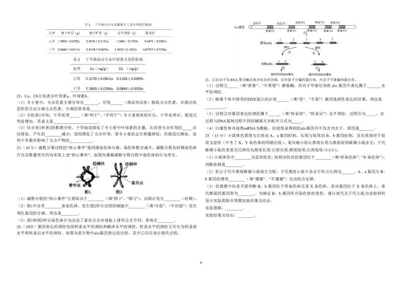 高三生物试题(1)_2023年11月_0211月合集_2024届山东省高三年级适应性联考（一）_山东省2024届高三年级适应性联考（一）生物