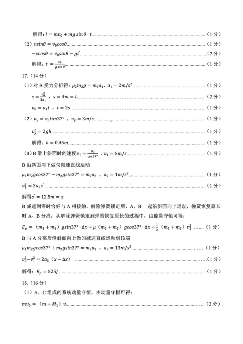 山东名校考试联盟2024-2025学年高三上学期期中检测物理试题（含答案）_2024-2025高三（6-6月题库）_2024年11月试卷_11152025届山东名校考试联盟高三上学期期中检测（全科）