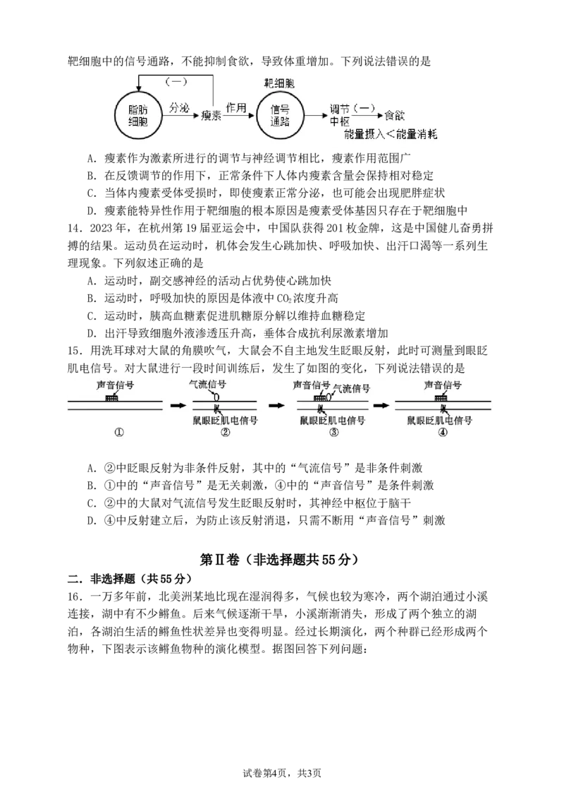 德阳市高2024级高二上期期中教学质量监测考试生物试卷_251202四川省德阳市2025-2026学年高二上学期期中考试（全）