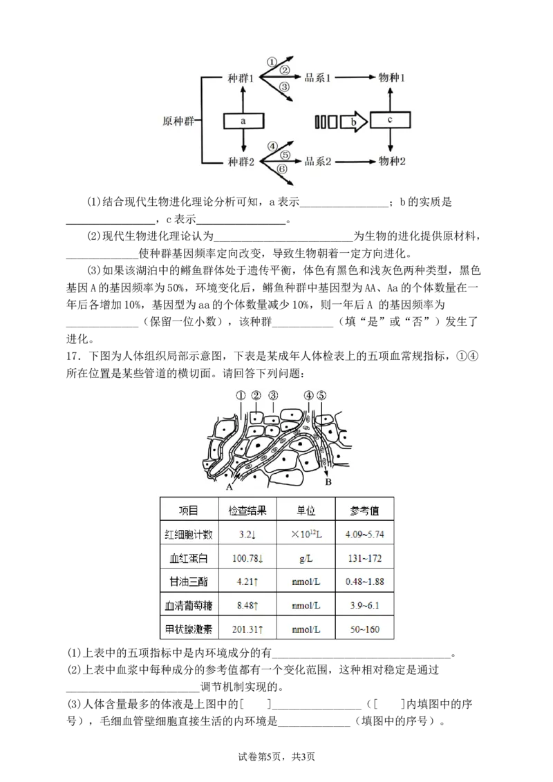 德阳市高2024级高二上期期中教学质量监测考试生物试卷_251202四川省德阳市2025-2026学年高二上学期期中考试（全）