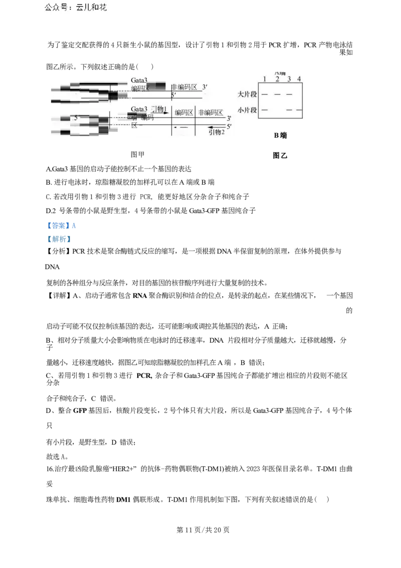 广东省广州三校（广铁一中、广州外国语学校、广州大学附属中学）2023-2024学年高二下学期期末考试+生物_2024-2025高二（7-7月题库）_2024年07月试卷