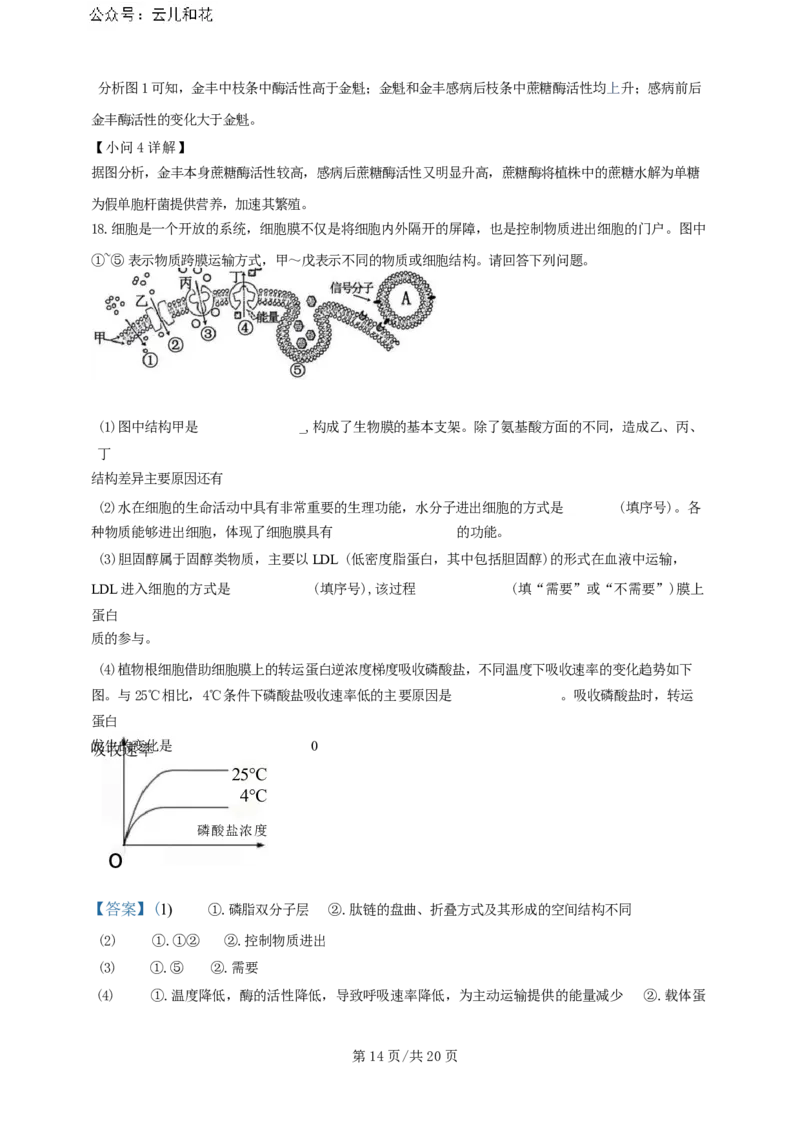 广东省广州三校（广铁一中、广州外国语学校、广州大学附属中学）2023-2024学年高二下学期期末考试+生物_2024-2025高二（7-7月题库）_2024年07月试卷