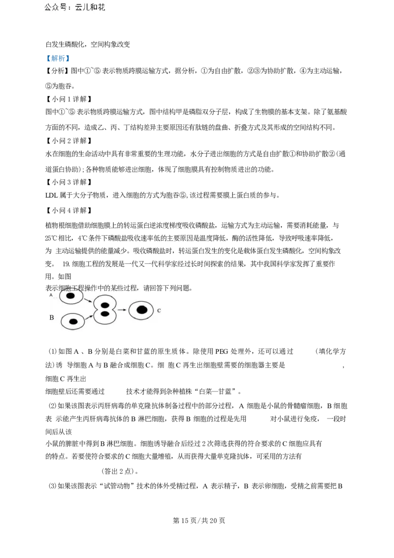 广东省广州三校（广铁一中、广州外国语学校、广州大学附属中学）2023-2024学年高二下学期期末考试+生物_2024-2025高二（7-7月题库）_2024年07月试卷