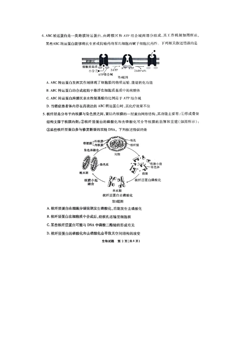 重庆市南开中学2023-2024学年高三下2月月考生物试题_2024年2月_01每日更新_21号_2024届重庆市南开中学高三第六次质量检测_重庆市南开中学高2024届高三第六次质量检测生物