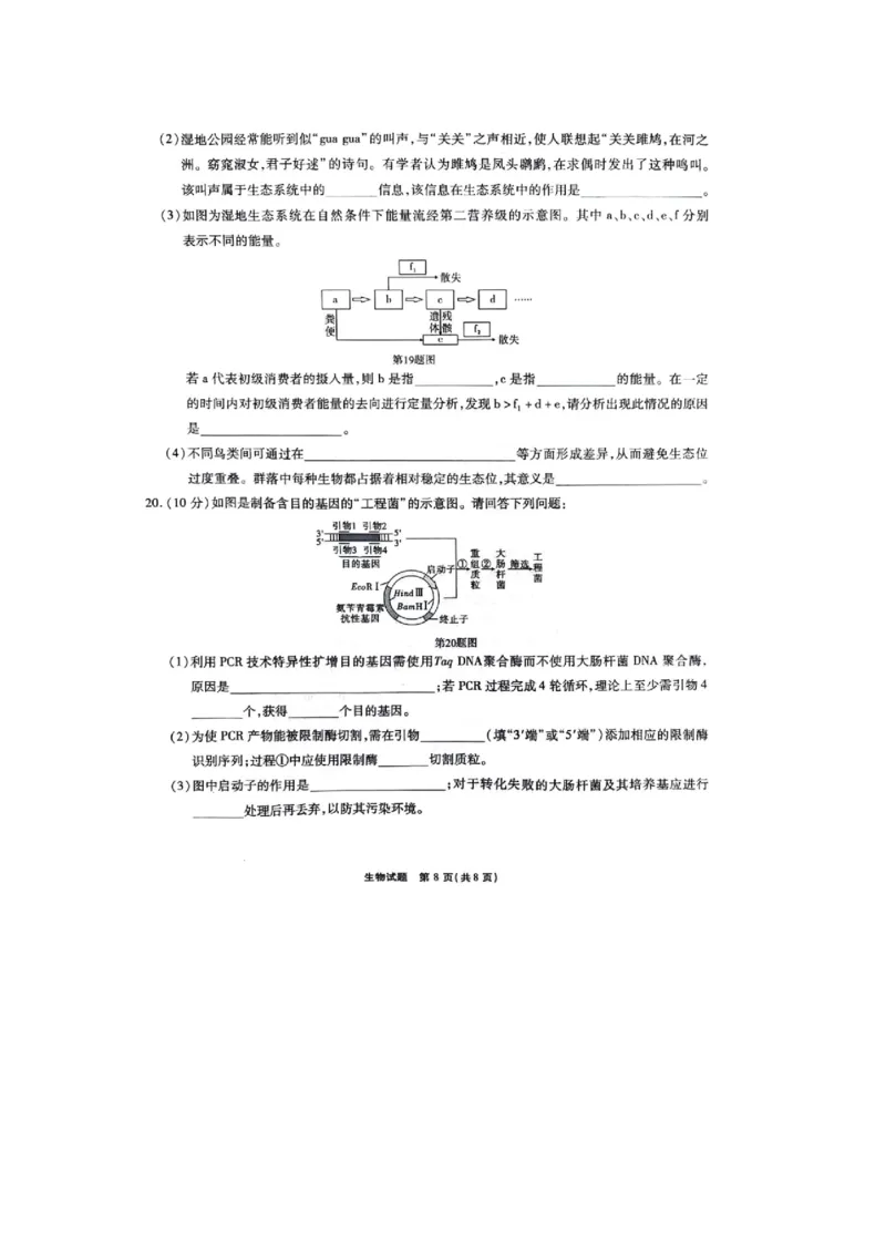 重庆市南开中学2023-2024学年高三下2月月考生物试题_2024年2月_01每日更新_21号_2024届重庆市南开中学高三第六次质量检测_重庆市南开中学高2024届高三第六次质量检测生物