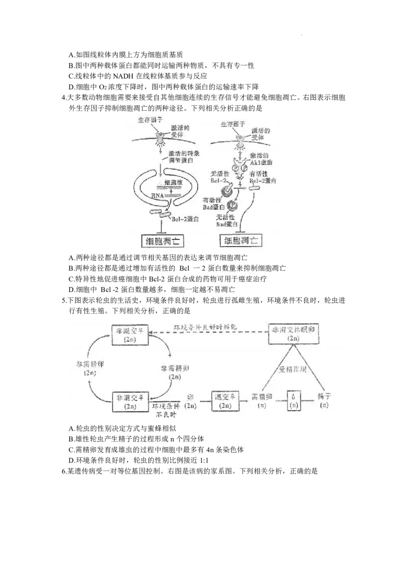 重庆市南开中学校2023届高三第七次质量检测丨生物_2024年2月_01每日更新_13号_2023届重庆市南开中学高三第七次质量检测_重庆市南开中学2023届高三第七次质量检测生物