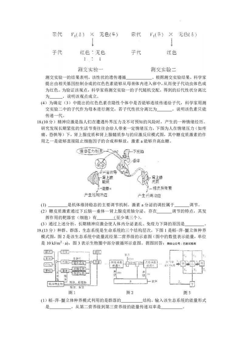 重庆市南开中学校2023届高三第七次质量检测丨生物_2024年2月_01每日更新_13号_2023届重庆市南开中学高三第七次质量检测_重庆市南开中学2023届高三第七次质量检测生物