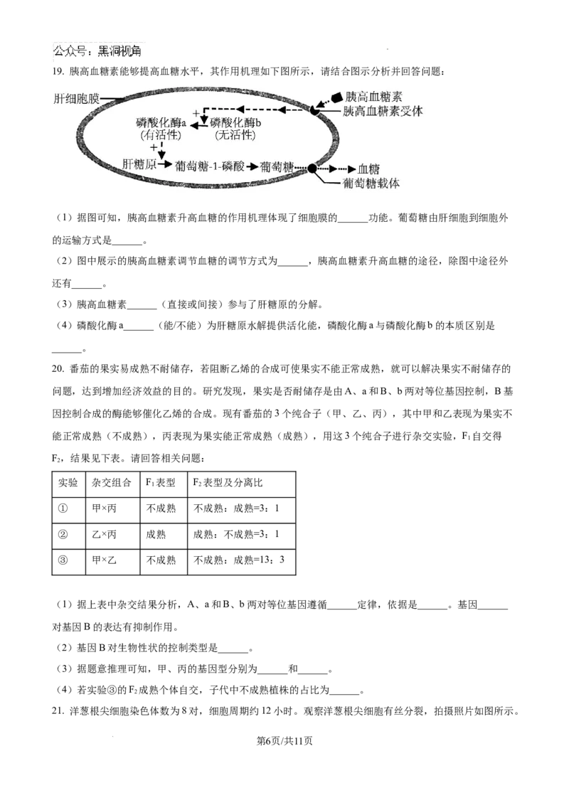 河北省张家口市尚义县第一中学等校2024-2025学年高三上学期9月入学摸底测试生物试题_2024-2025高三（6-6月题库）_2024年09月试卷