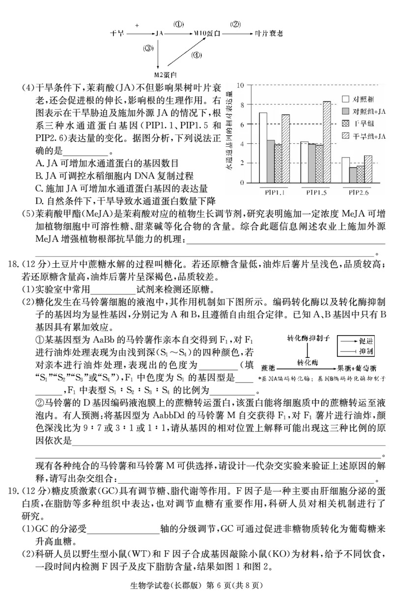 生物试卷（高三长郡一模）_2024年5月_01按日期_8号_2024届湖南省长沙市长郡中学高三模拟试卷（一）_2024届湖南省长沙市长郡中学高三模拟试卷（一）生物试题