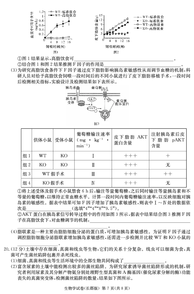 生物试卷（高三长郡一模）_2024年5月_01按日期_8号_2024届湖南省长沙市长郡中学高三模拟试卷（一）_2024届湖南省长沙市长郡中学高三模拟试卷（一）生物试题
