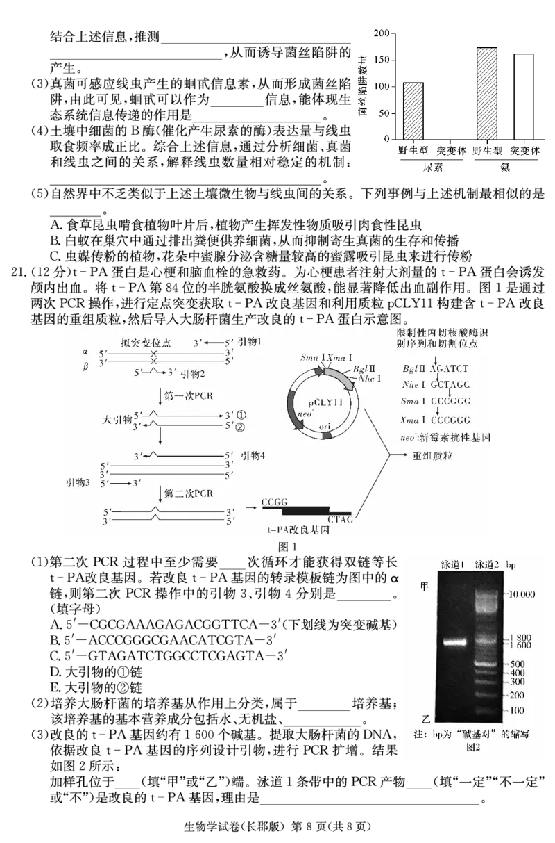 生物试卷（高三长郡一模）_2024年5月_01按日期_8号_2024届湖南省长沙市长郡中学高三模拟试卷（一）_2024届湖南省长沙市长郡中学高三模拟试卷（一）生物试题
