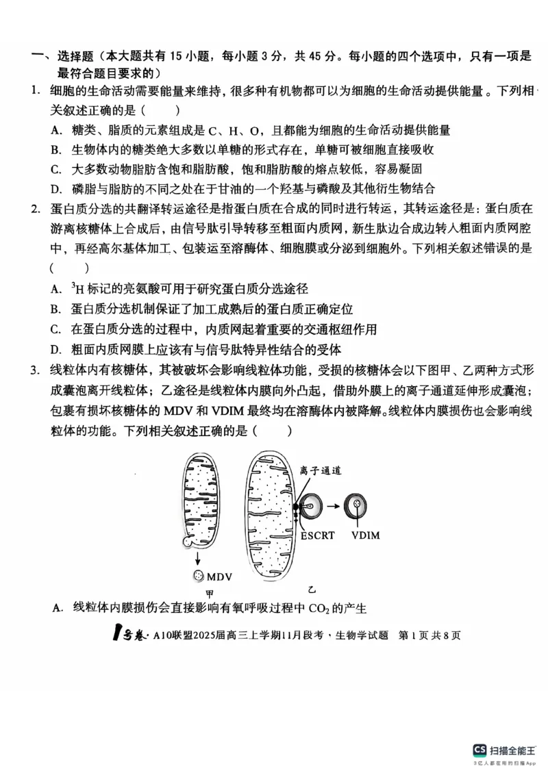 安徽省A10联盟2024-2025学年高三上学期11月月考生物试题_2024-2025高三（6-6月题库）_2024年11月试卷_1116安徽A10联盟2025届高三上学期11月段考（全科）_安徽A10联盟2025届高三上学期11月段考生物