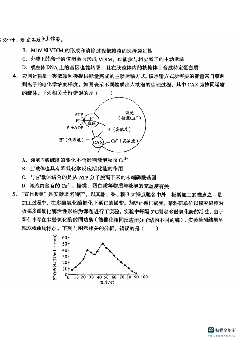 安徽省A10联盟2024-2025学年高三上学期11月月考生物试题_2024-2025高三（6-6月题库）_2024年11月试卷_1116安徽A10联盟2025届高三上学期11月段考（全科）_安徽A10联盟2025届高三上学期11月段考生物