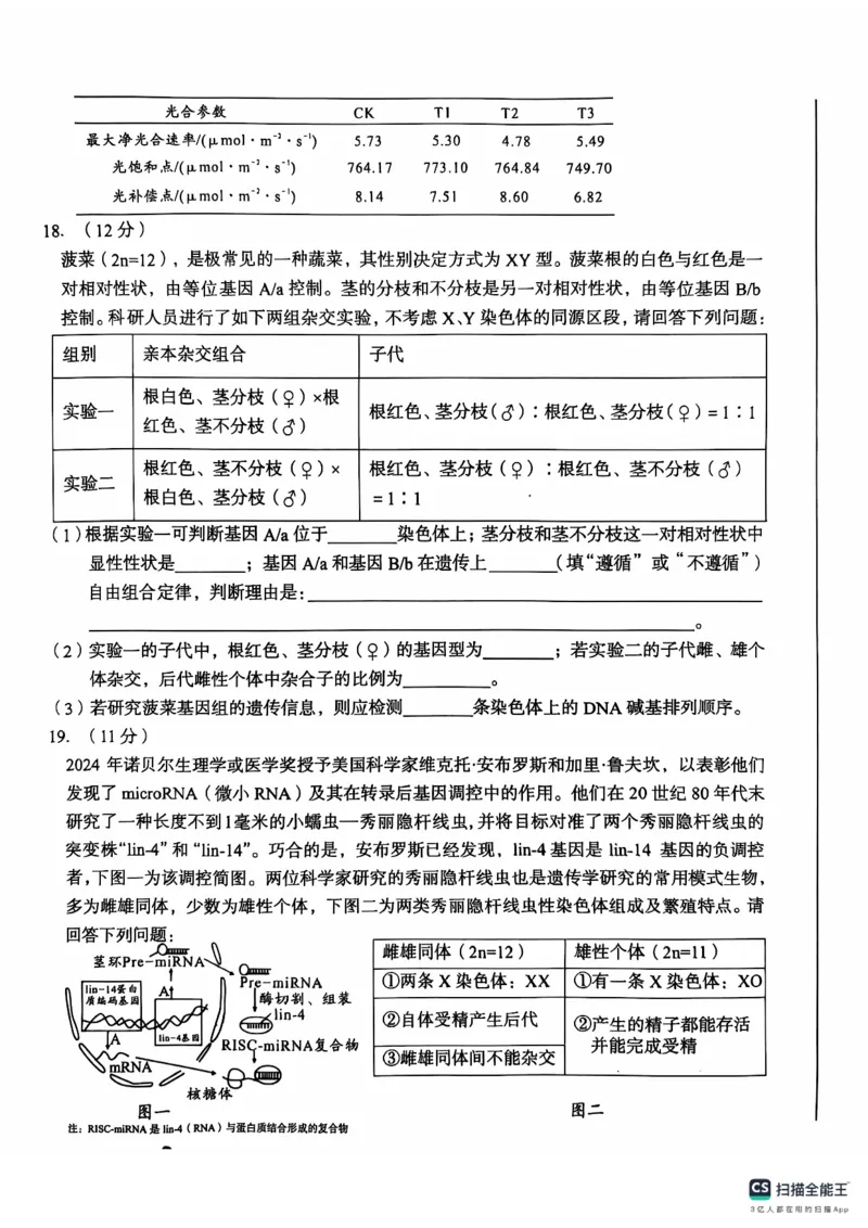 安徽省A10联盟2024-2025学年高三上学期11月月考生物试题_2024-2025高三（6-6月题库）_2024年11月试卷_1116安徽A10联盟2025届高三上学期11月段考（全科）_安徽A10联盟2025届高三上学期11月段考生物