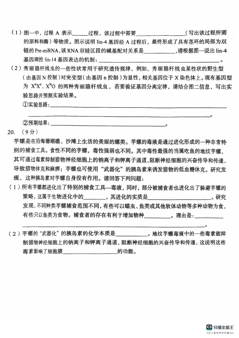 安徽省A10联盟2024-2025学年高三上学期11月月考生物试题_2024-2025高三（6-6月题库）_2024年11月试卷_1116安徽A10联盟2025届高三上学期11月段考（全科）_安徽A10联盟2025届高三上学期11月段考生物