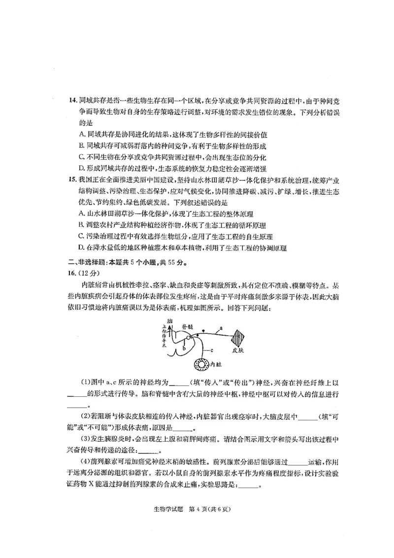 四川省成都市2026届高二上期期末统一调研考试生物_2024-2025高二（7-7月题库）_2025年01月试卷_0117四川省成都市2026届高二上期期末统一调研考试（全）