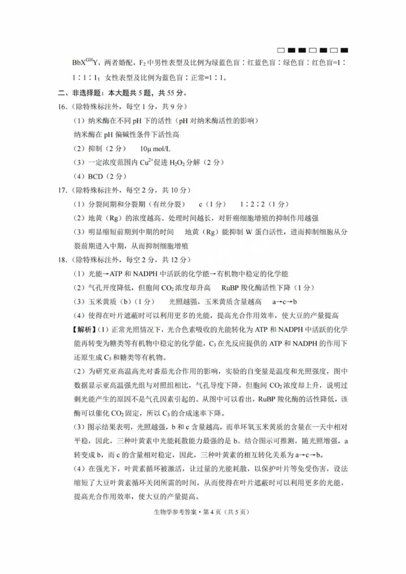 巴蜀中学2025届高考适应性月考卷（三）生物答案_2024-2025高三（6-6月题库）_2024年11月试卷_1118重庆巴蜀中学2025届高考适应性月考卷（三）（全科）
