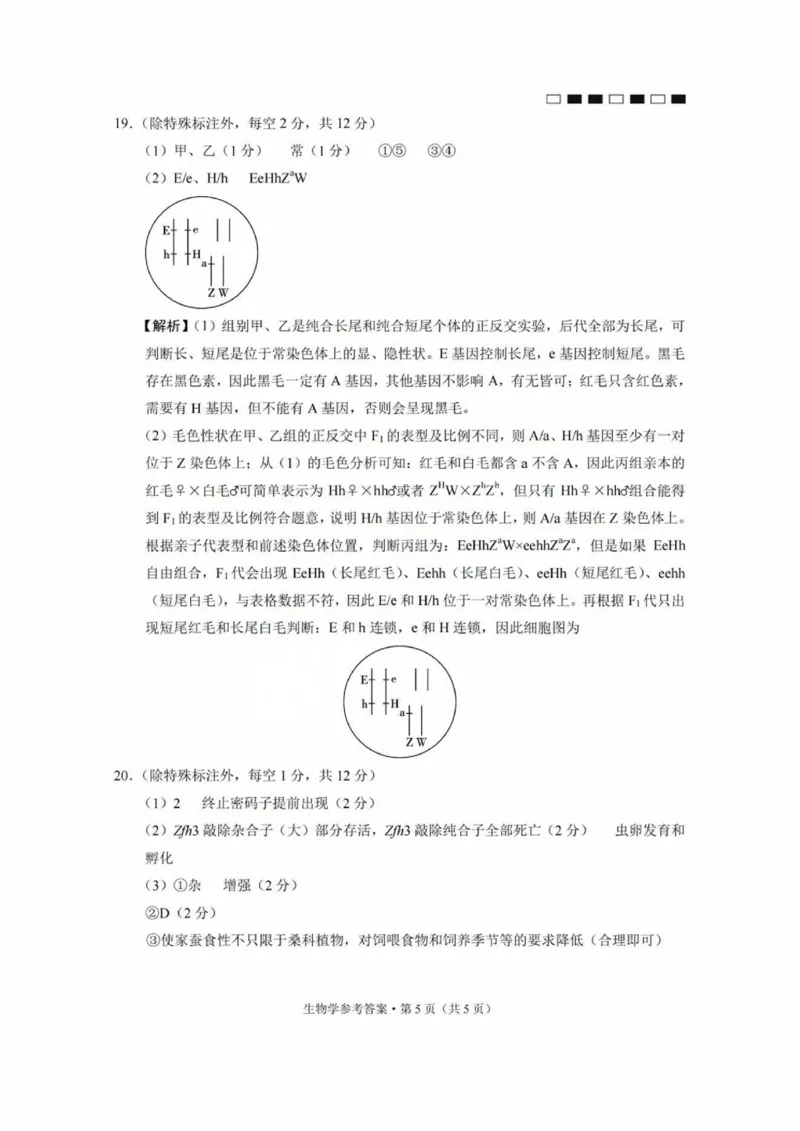 巴蜀中学2025届高考适应性月考卷（三）生物答案_2024-2025高三（6-6月题库）_2024年11月试卷_1118重庆巴蜀中学2025届高考适应性月考卷（三）（全科）