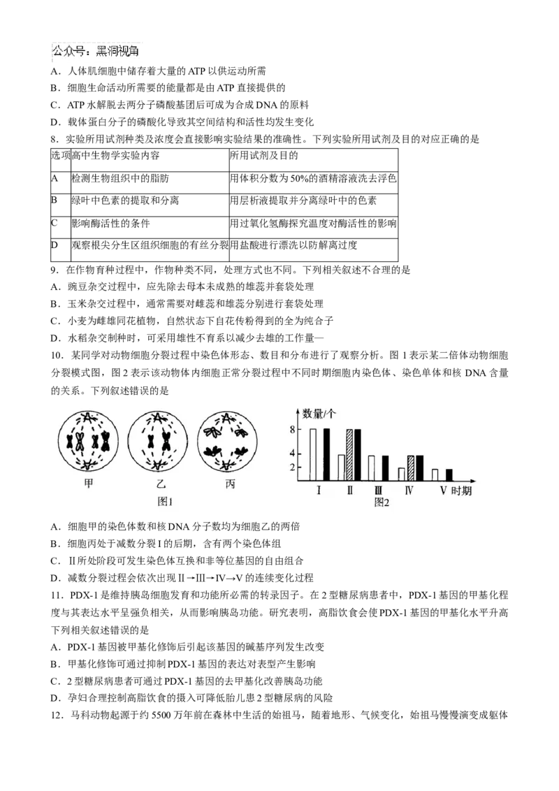 山西省部分学校2024-2025学年高三上学期学情监测生物试题_2024-2025高三（6-6月题库）_2024年11月试卷_1119山西天一大联考2024-2025学年高三期中调研考试